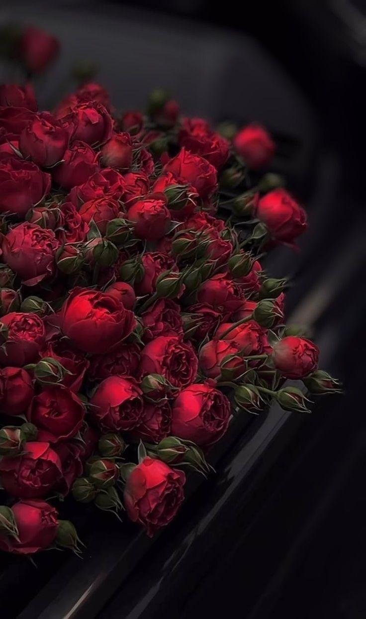 Corporate meeting room with carefully timed floral arrangements that maintain elegance throughout business hours